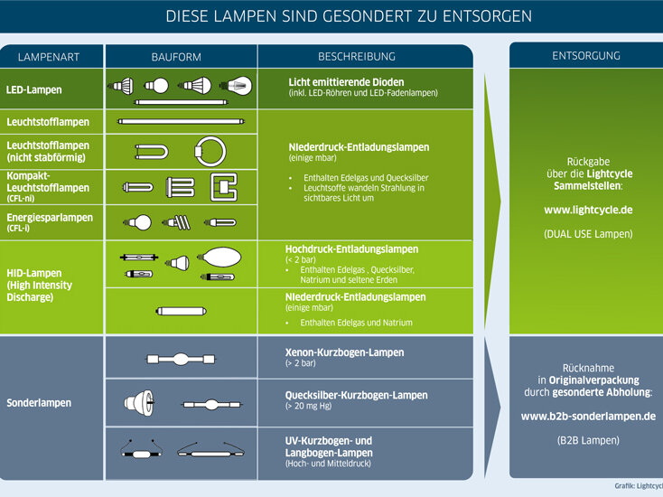 Grafik mit verschiedenen Lampentypen und wo diese zu entsorgen sind