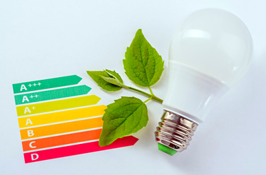 Bild mit Lampe, grünem Blatt und Energielabel
