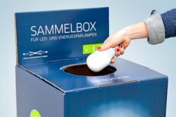 Frau legt Lampe in die Sammelbox